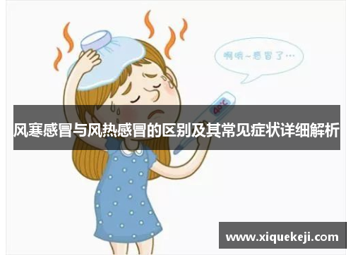 风寒感冒与风热感冒的区别及其常见症状详细解析