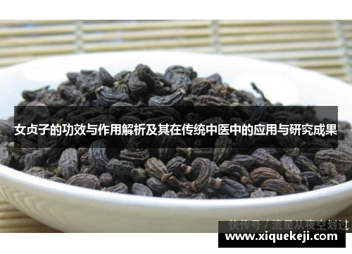女贞子的功效与作用解析及其在传统中医中的应用与研究成果