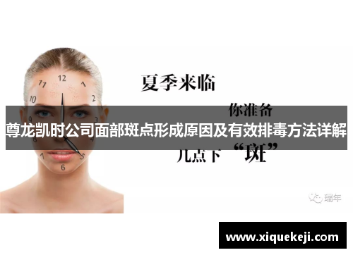 尊龙凯时公司面部斑点形成原因及有效排毒方法详解