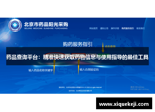 药品查询平台：精准快速获取药物信息与使用指导的最佳工具